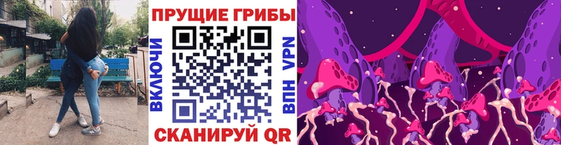 Галлюциногенные грибы Psilocybine cubensis  Знаменск 