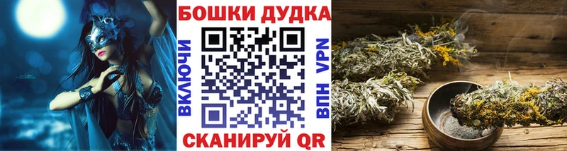 нарко площадка наркотические препараты  Знаменск  Шишки марихуана ГИДРОПОН  что такое наркотик 